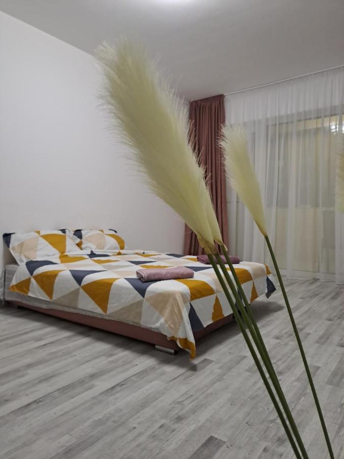 Happy Rental Apartments 2 Craiova Exteriér fotografie